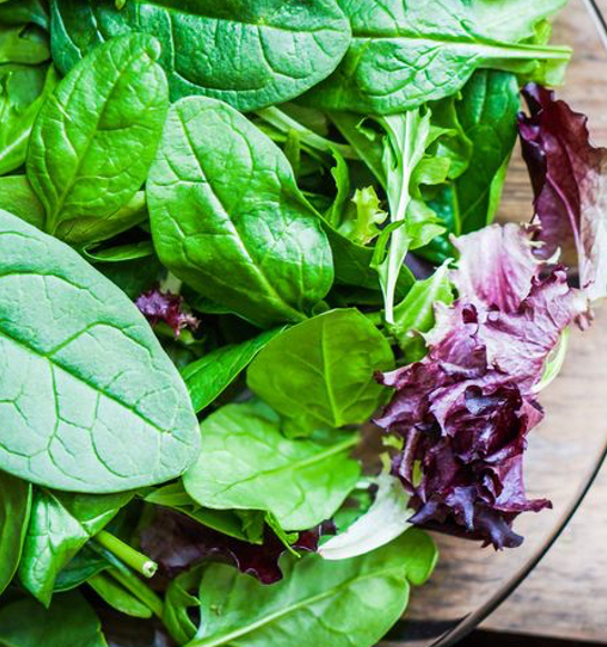 26294511_s-e1562017328334