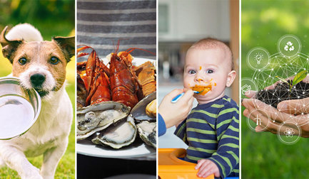 Not just clean-label: How HPP can make your processing more sustainable