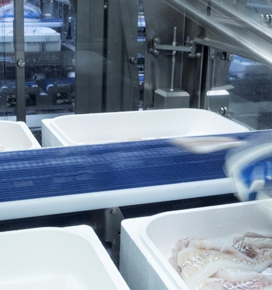 Vesiris Unparalleled automation at Vísir fish factory | JBT Marel