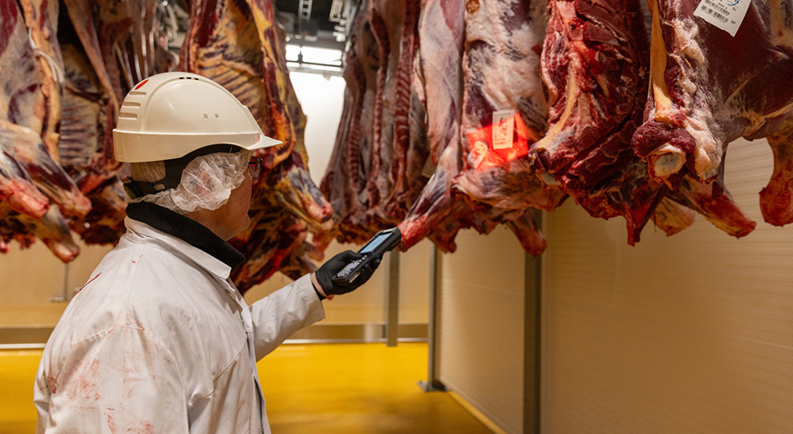 Himmerlandskod Jbtmarel Customer Story Pork Processing