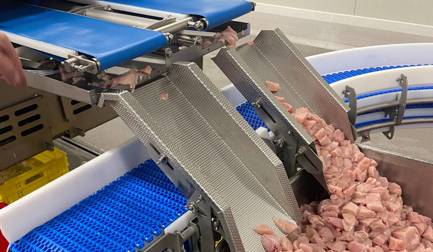 工业化和专业化的小众产品生产