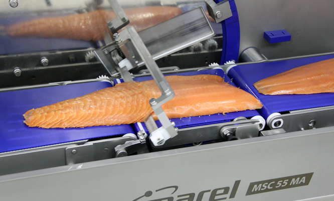 MSC 55 MA Slicer