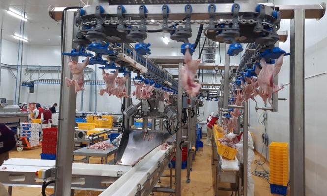 Easy-entry cut-up automation with ACM-NT Compact