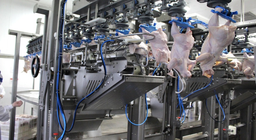 Wingmaster Zanchetta