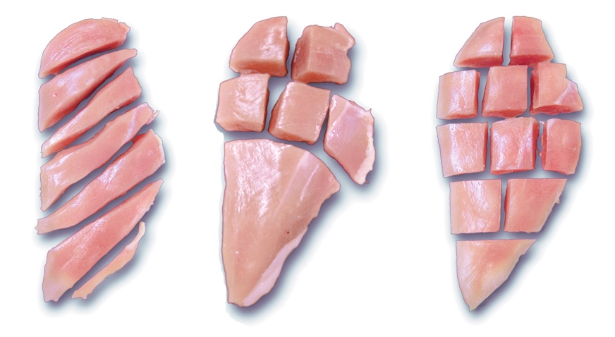 Cuts Poultry Fillet DSI