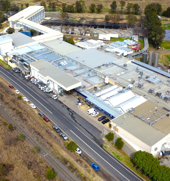 John Dee Plant