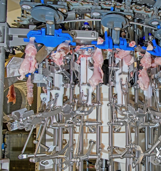 Banham Thigh Fillet System