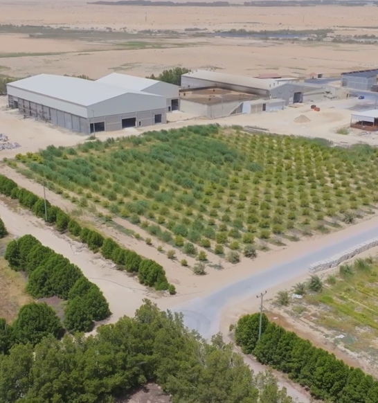 Addoha Green Irrigation