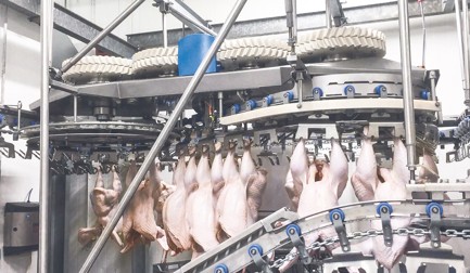 Höhere Qualitätsstandards für Indrol