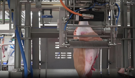 Transforme o processo de remoção de pele de produtos suínos com a nova DeboFlex Inline Skinner