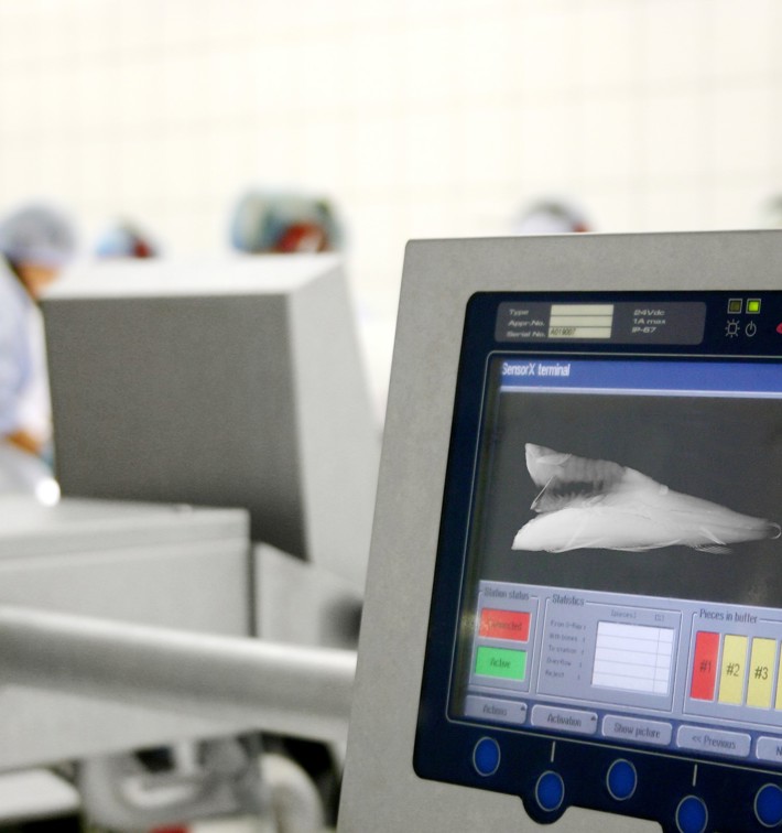 Marel's SensorX Fish commonly achieves a 99% detection rate on calcified bones down to 0,7mm