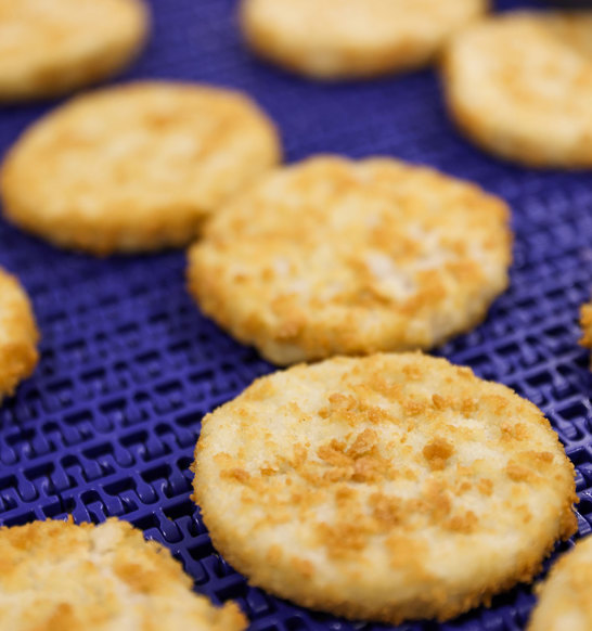 Fish Cake Spiral Freezer