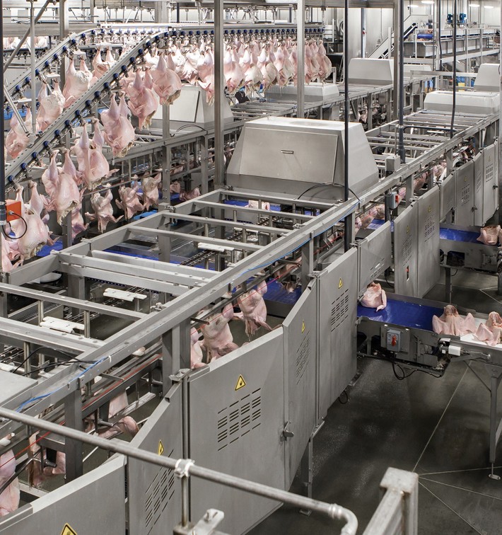 Turcic Process Six reasons to automate turkey processing | JBT Marel