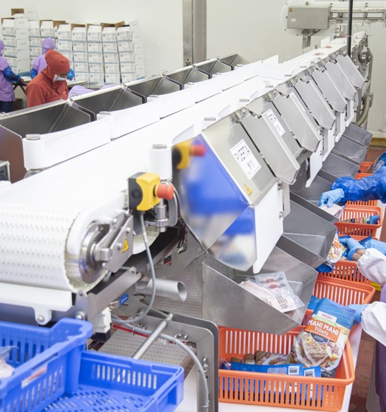 Coinrefri Workers Along Fish Processing Line (1)