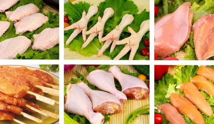 中红三融新建产能 15,000只/小时的全新加工厂