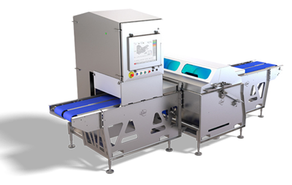 DSI-DB20-Dual-Blade-Portioning-System