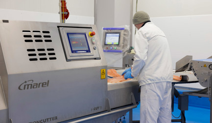 How Bidfood doubled efficiency to keep pace with rising salmon demand