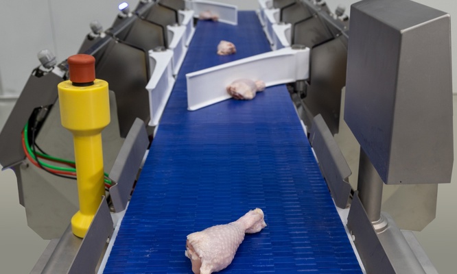 Flexible all-in-one solution for grading and batching