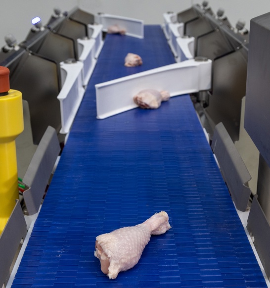 Compact Grader Poultry 18