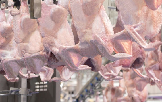 ACM T Prestage Turkey