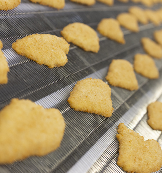 Image Process Injection And Marination