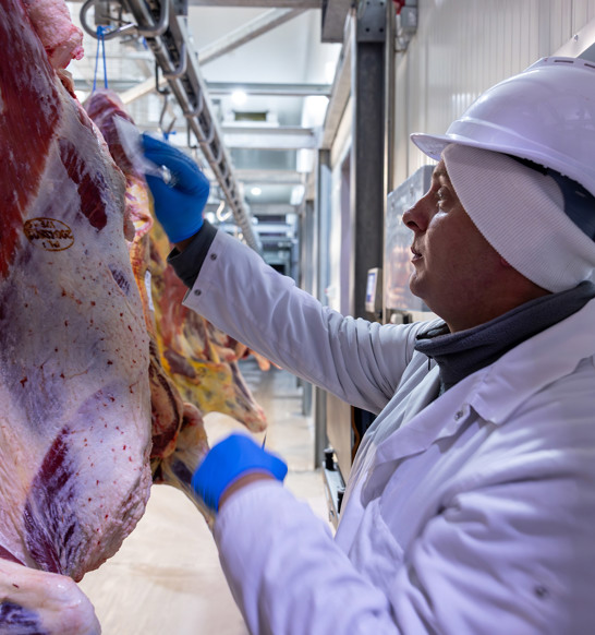 Zakrzewscy Beef Processing Plant