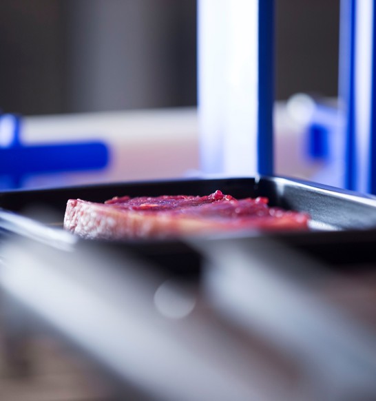 Case ready/Food service