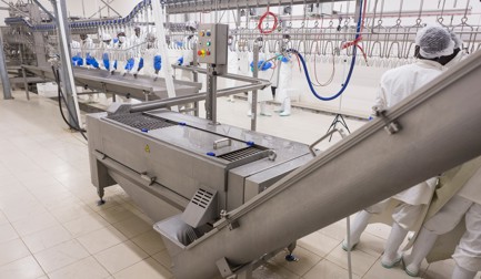 Gizzard Harvester MG-150