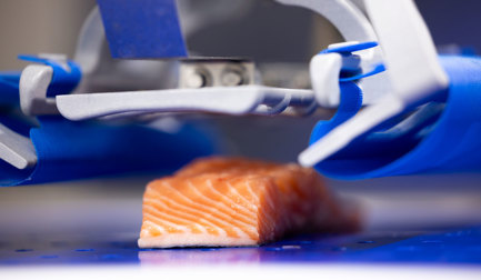 RoboPacker is the future of catch- or fixed-weight packing automation