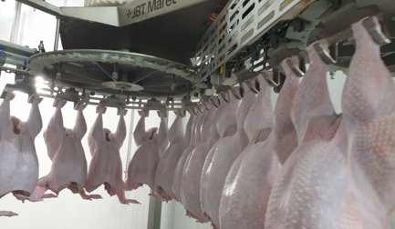 SmartWeigher for turkey