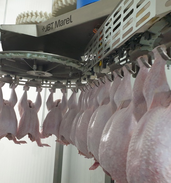 Smartweigher Turkey (1)
