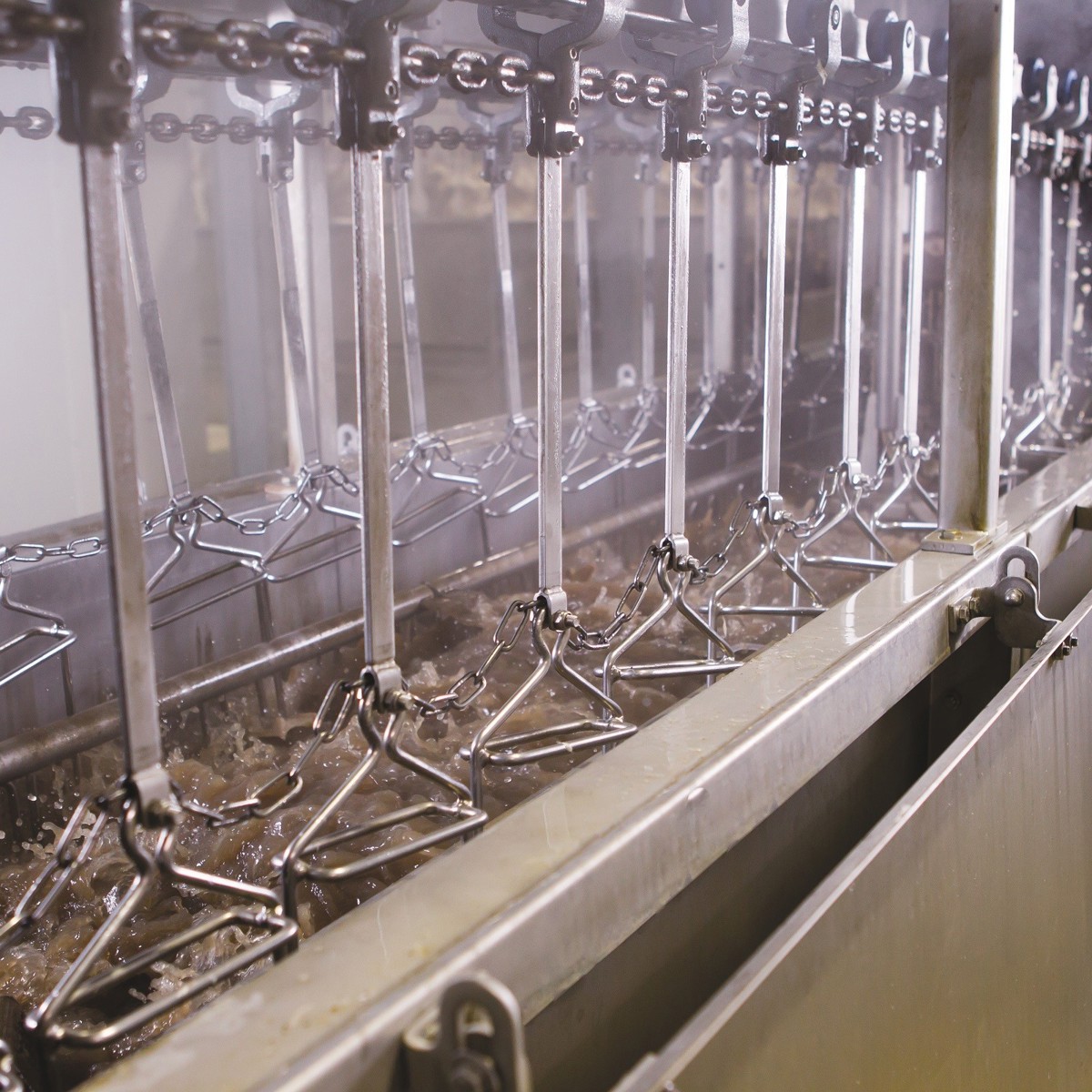 Immersion scalding system | JBT Marel