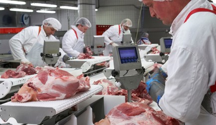 StreamLine para carne de porco