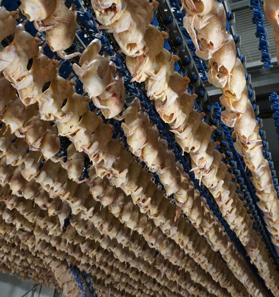 Costco Lpp Air Chill