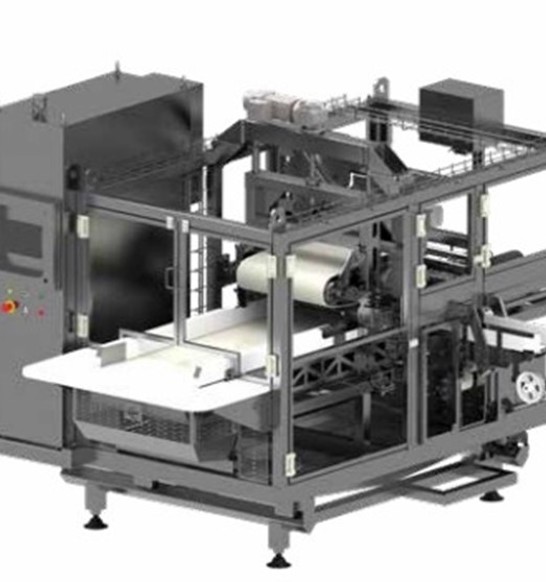 Fish Automatic Tuna Feeder Infographic