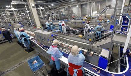 6 raisons de choisir l'AMF-i