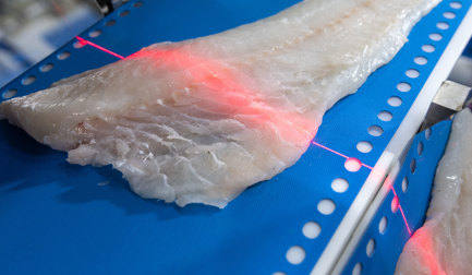 I-Cut 130 PortionCutter