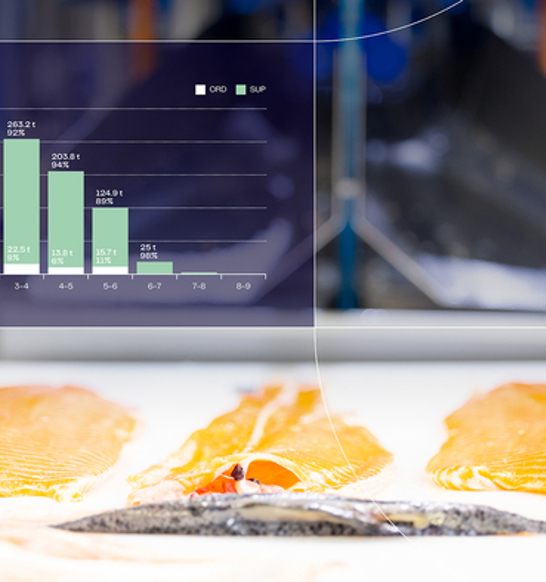 Salmon Software Visualization