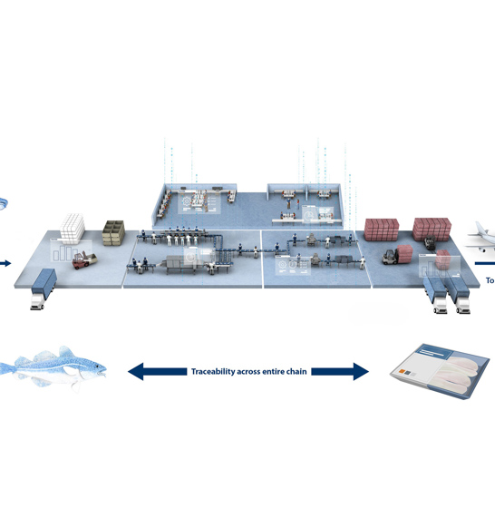 Traceability From Sea To Supermarket Fish
