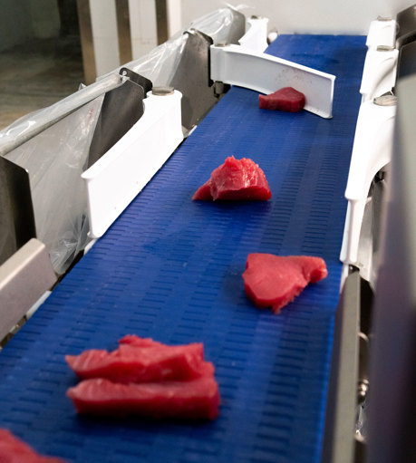 Salva Mar Tuna Grading