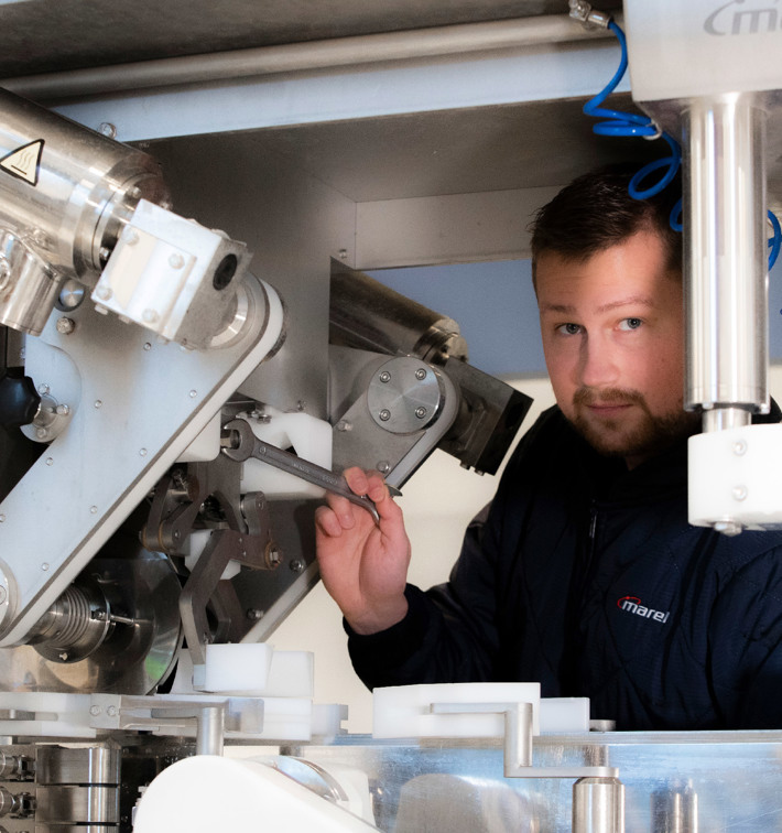 Processing plant service inspection visits