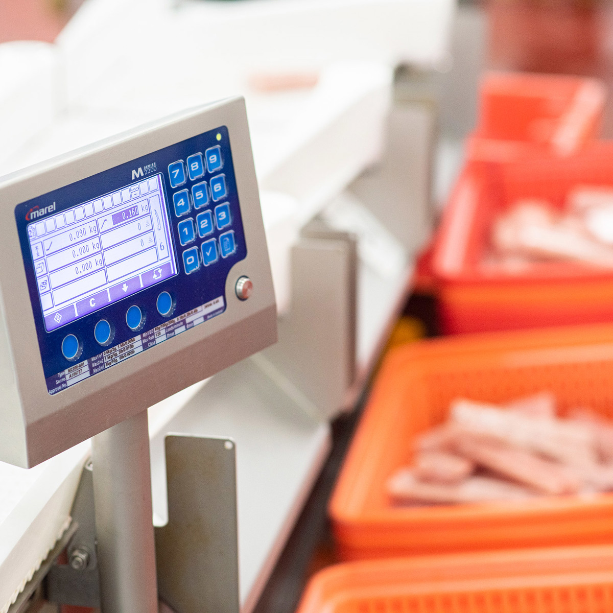Jumbo Squid Yield Software Solution | JBT Marel