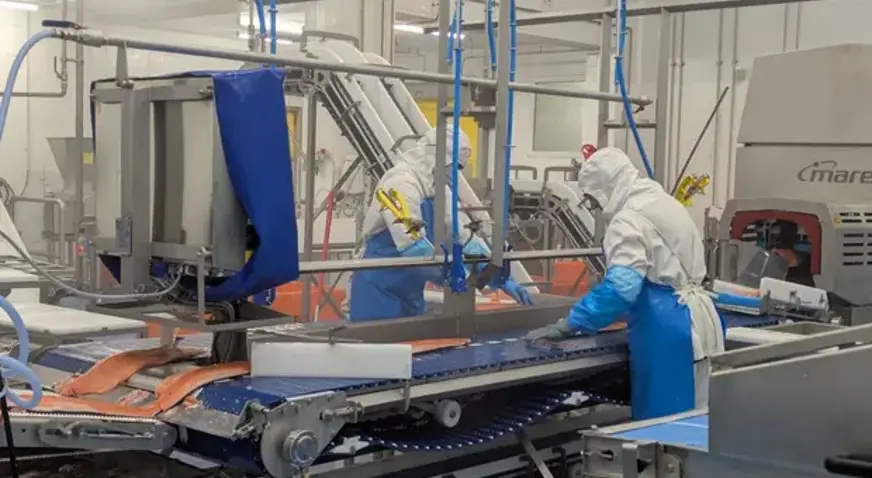 Prod Atlantique Filleting