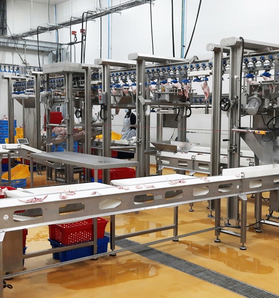 Arabian Farms ACM NT Compact