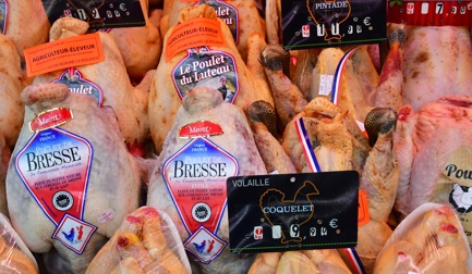 Comment transformer les différentes races de poulets ?