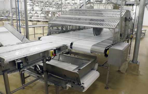 Carcass Cutter For Pork Primal Cutting System