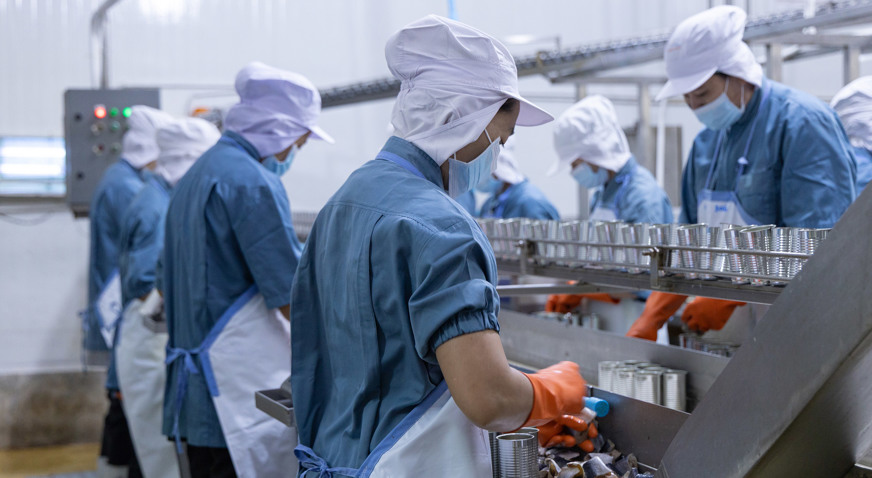 Workers Canning Fish