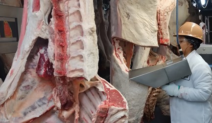 De e+v a AuraVision: un nuevo nombre, la misma tecnología líder en la industria