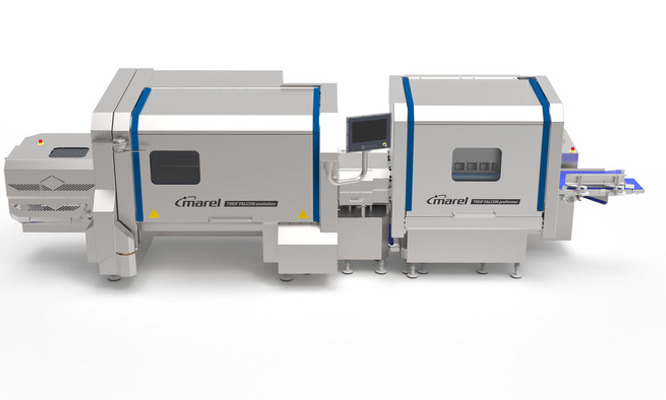 TREIF FALCON evolution + preformer 